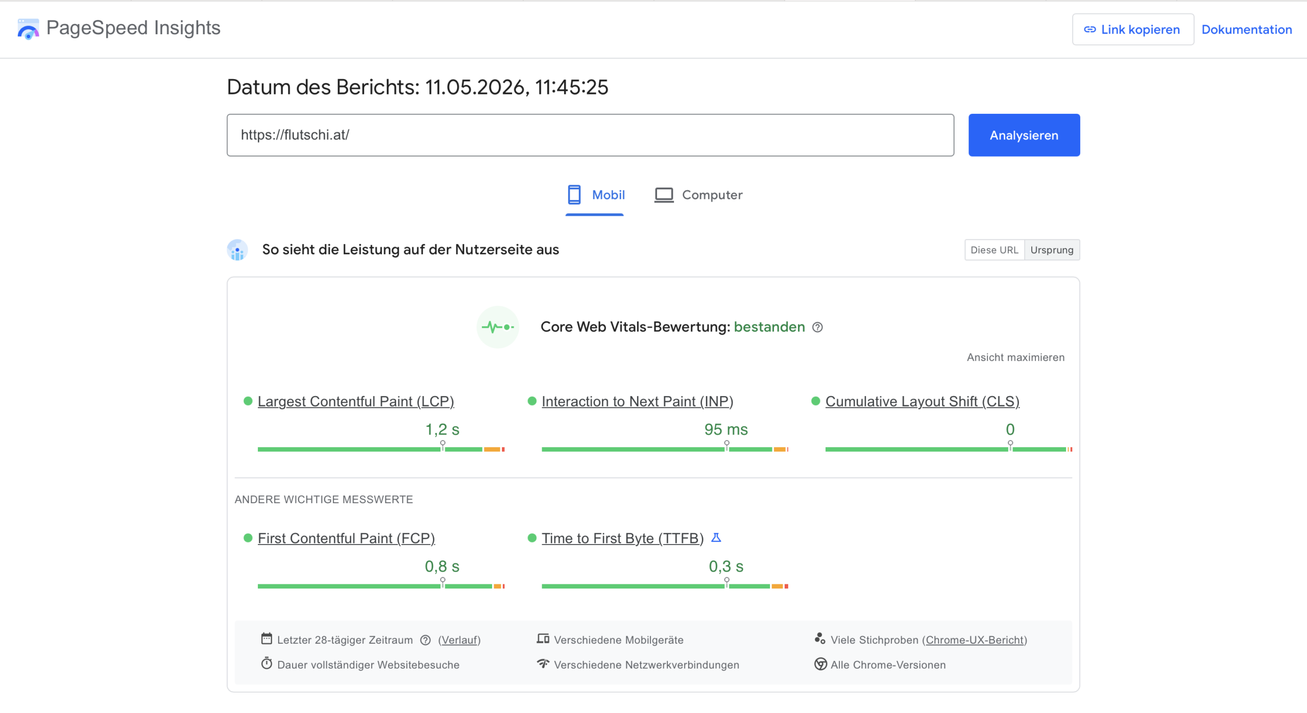 PageSpeed und Core Web Vitals Übersicht